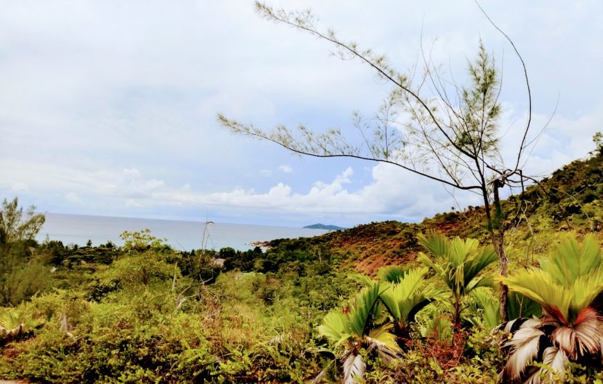 Fond Ferdinand & Anse Lazio Tour