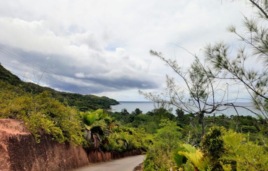 Fond Ferdinand & Anse Lazio Tour