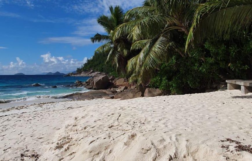 Praslin & La Digue Island Tour (Plane Private)