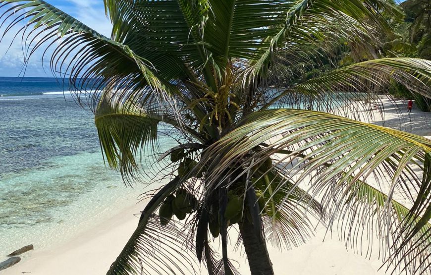 Praslin & La Digue Island Tour (Ferry Private)