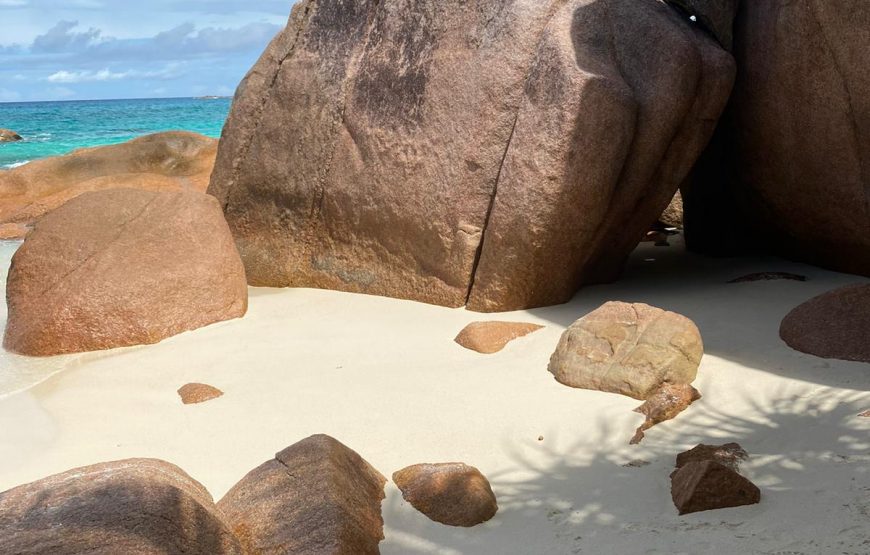 Praslin & La Digue Island Tour (Plane Private)