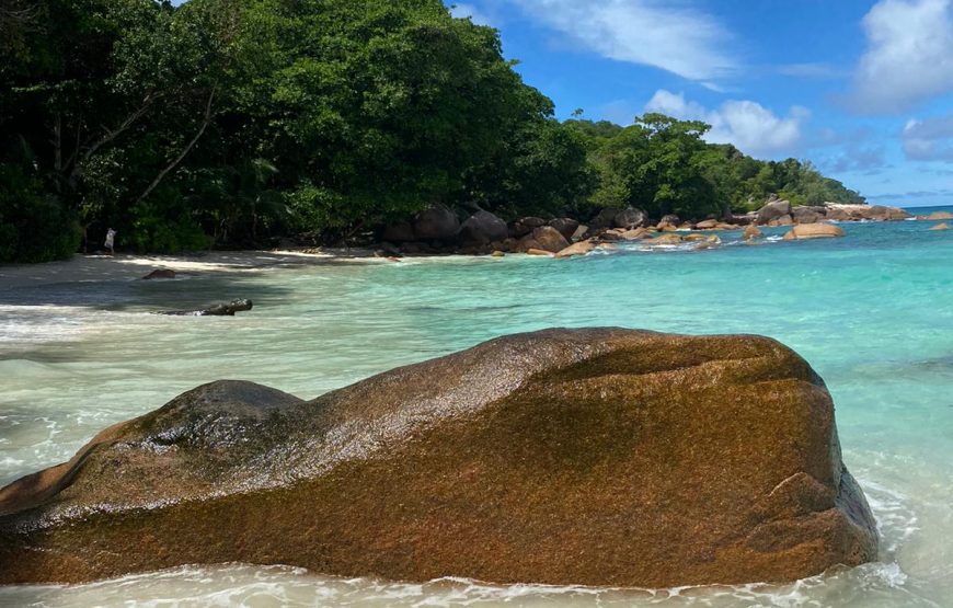 Praslin & La Digue Island Tour (Plane Private)